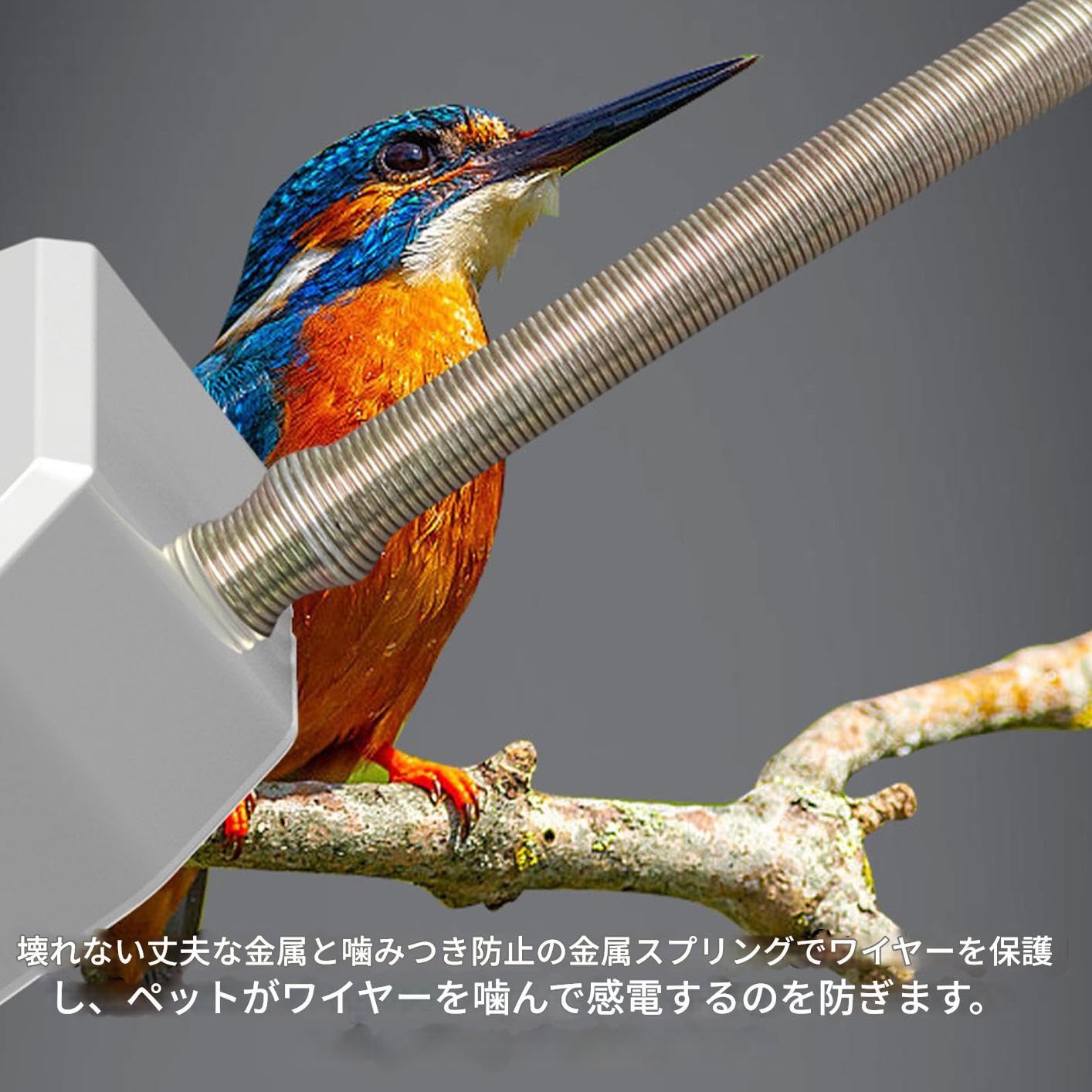 Amazon | 鳥用ヒーター - スマート急速加熱保温サーモスタット - 小型